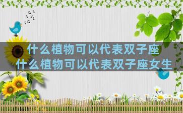 什么植物可以代表双子座 什么植物可以代表双子座女生